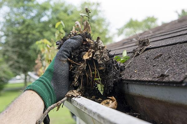 if you notice overflowing water, sagging gutters, or plants growing in the gutters, it's time for gutter cleaning